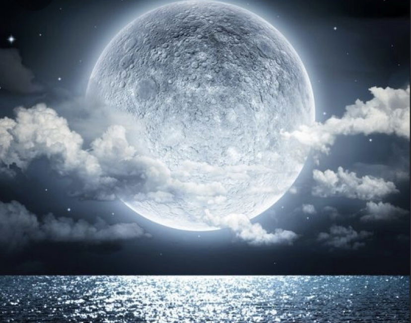 Ariel Moon profile banner