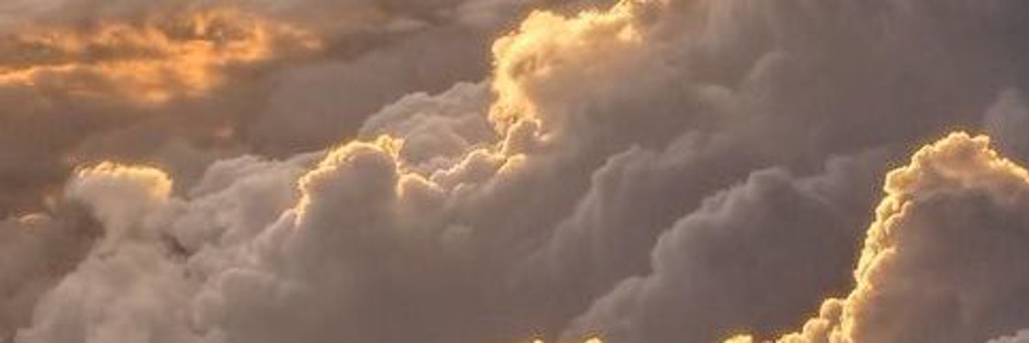 Ari Reis profile banner