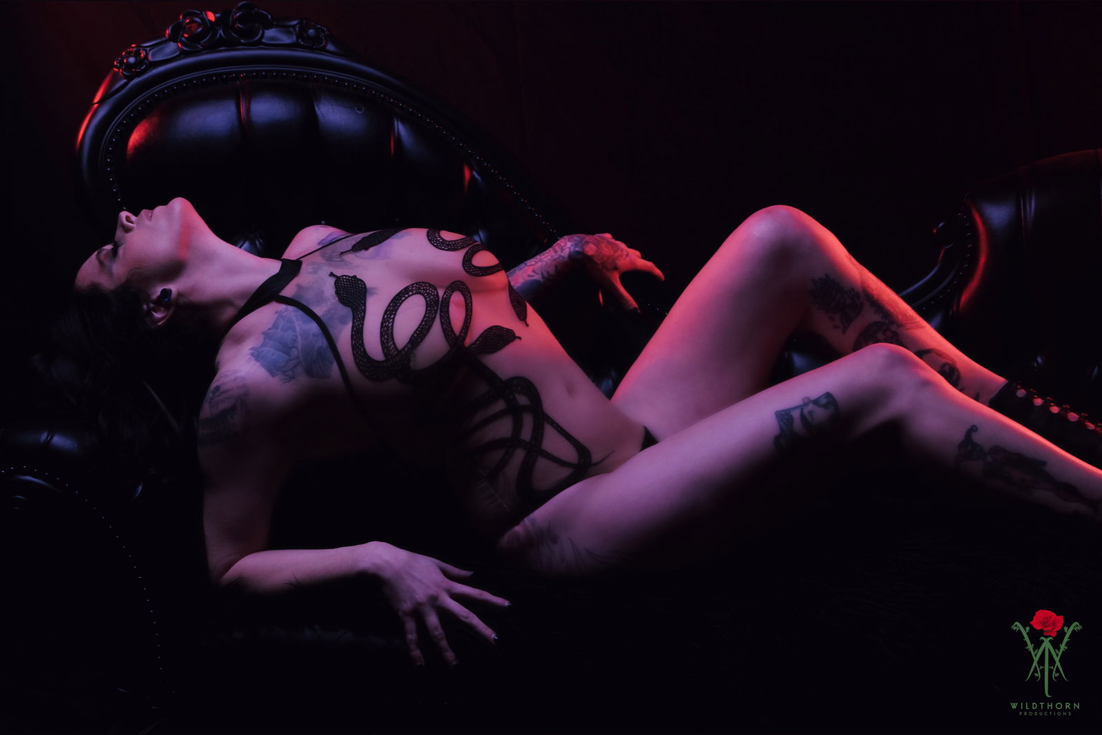 Arkhamtitty FREE profile banner