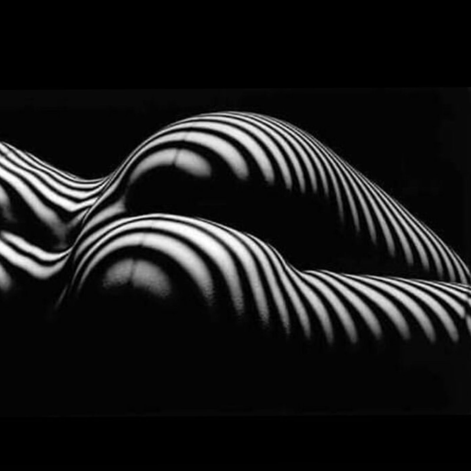 βοΈπ΄ππ¦πππ ππππππππβοΈ profile banner