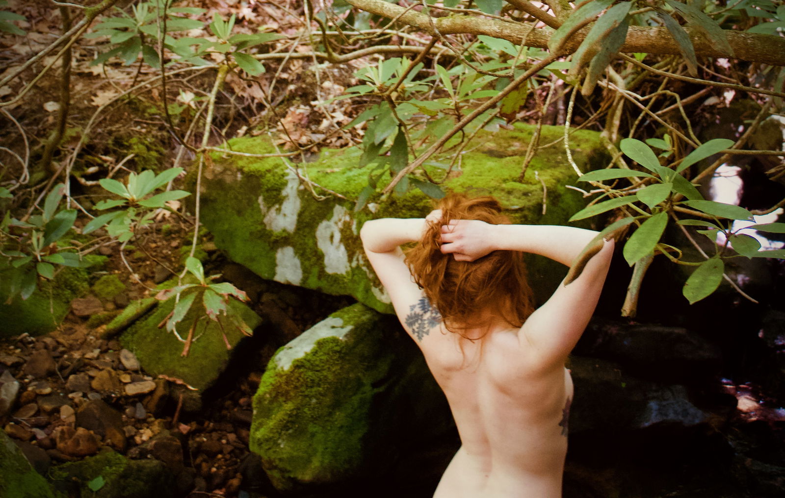 Aspasia Heathers profile banner