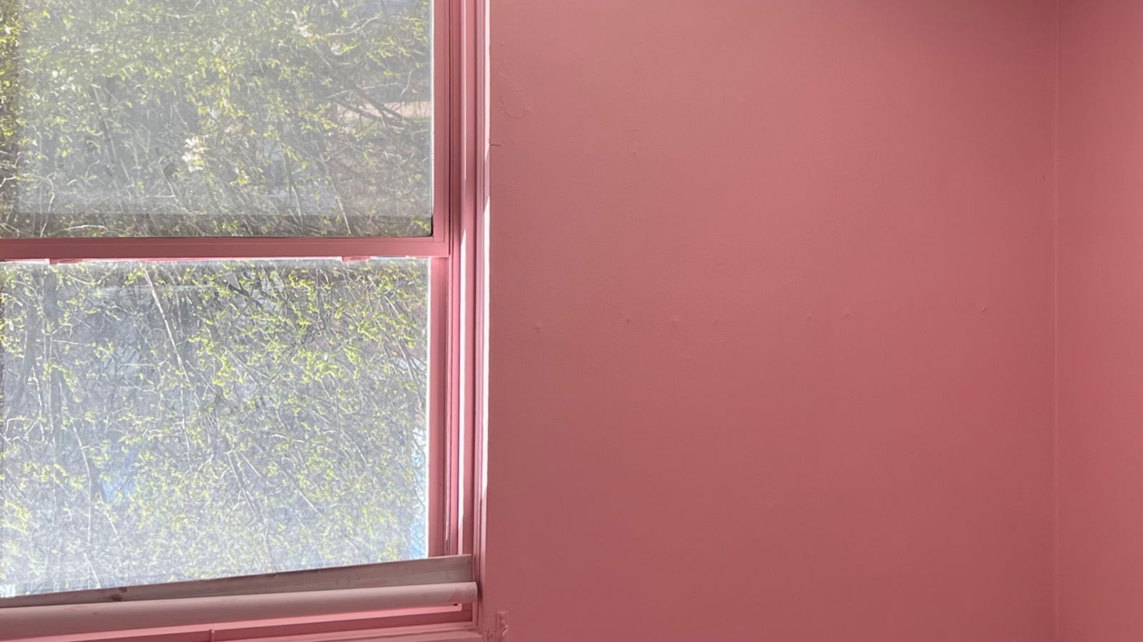 asiankreamsicle🍊 profile banner