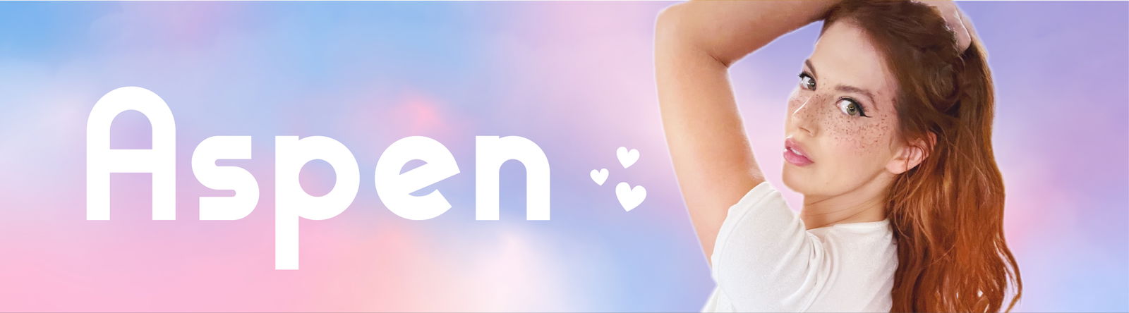 Aspen profile banner
