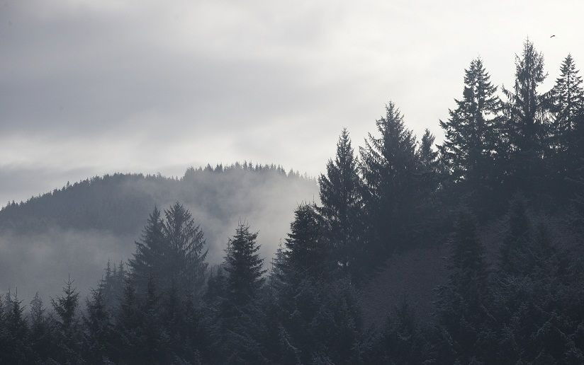 Astera Lux profile banner