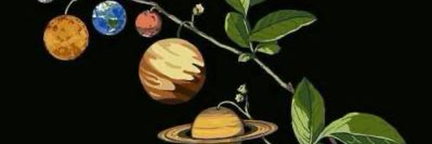 Space Princess profile banner