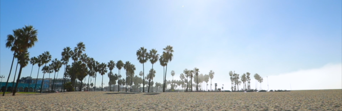 austinavery banner