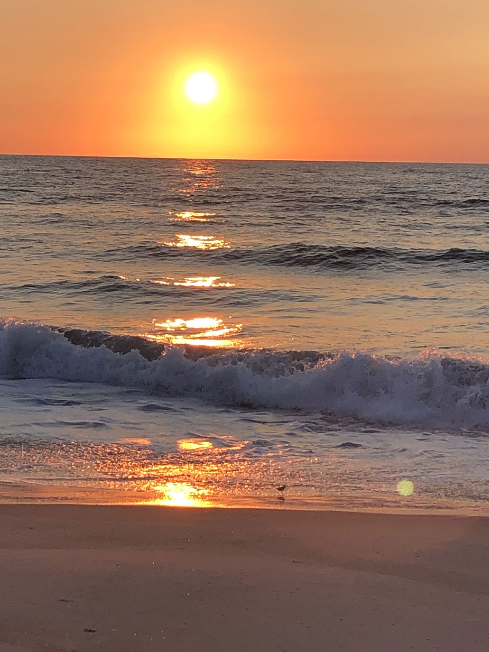 beach bum 102019 profile banner