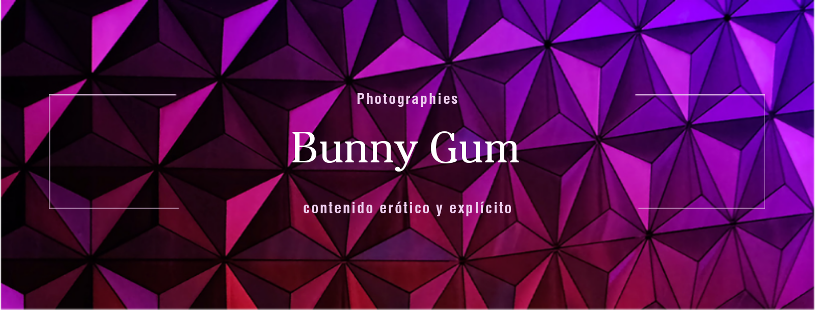 Bunny Gum profile banner