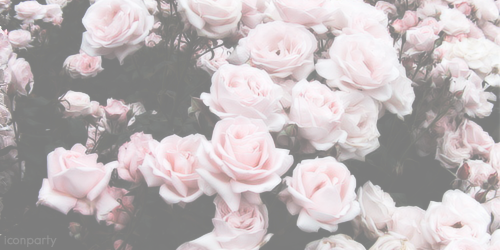 Baby Buns profile banner