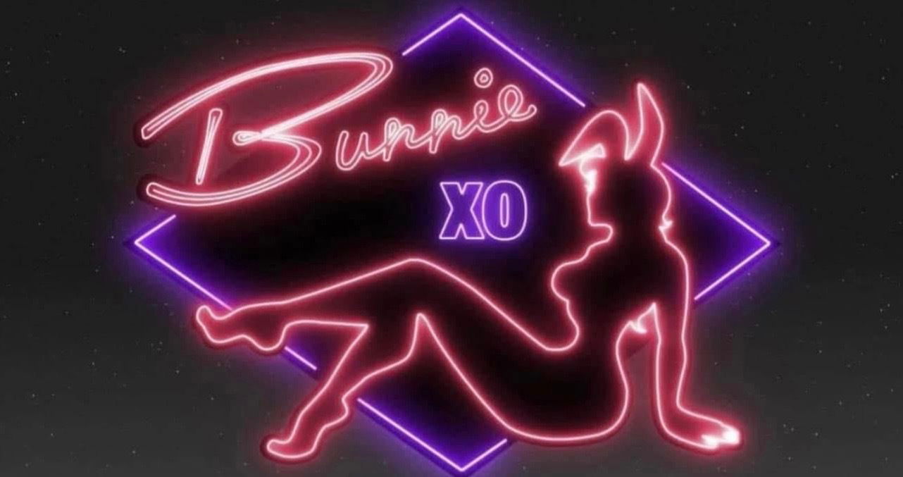 Snow_Bunnyyy🐰💋 profile banner