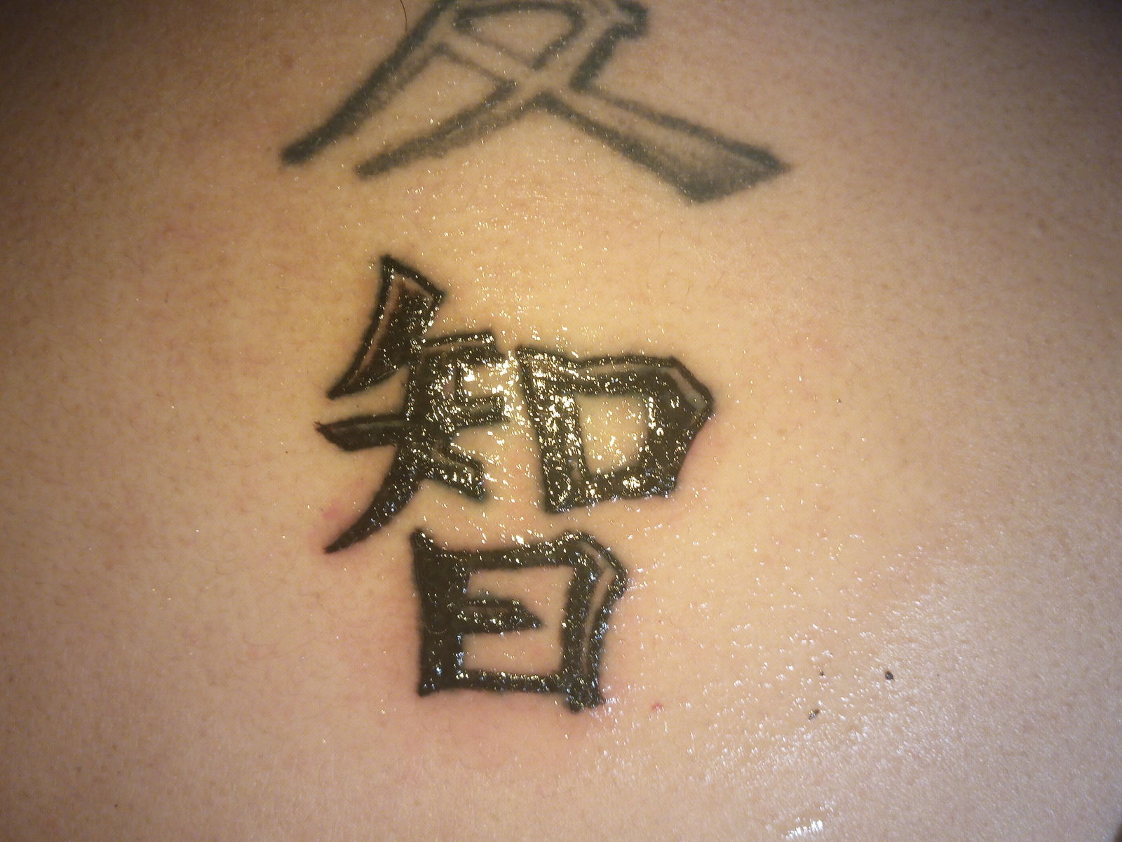 babygril202083 banner