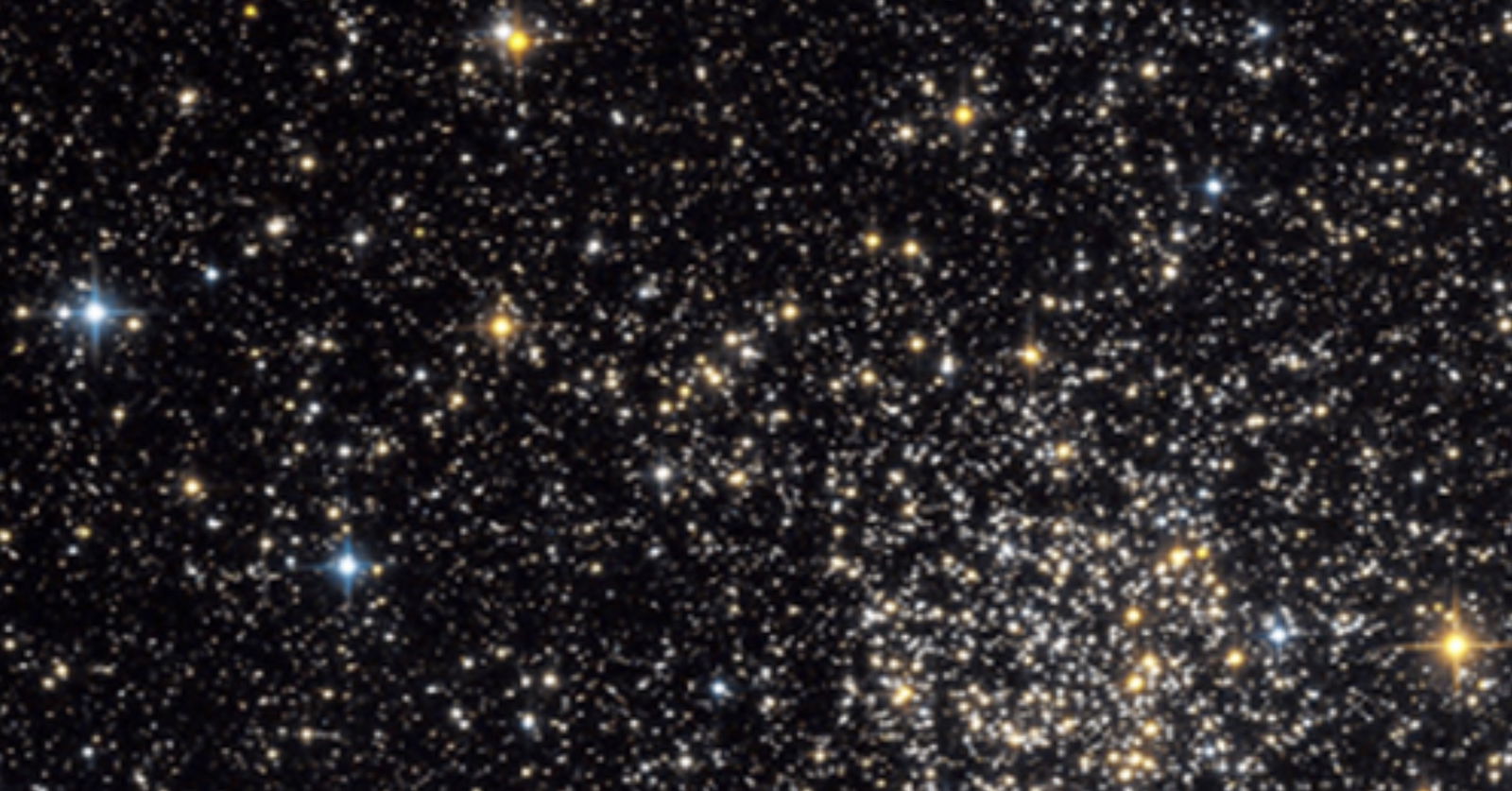 Baddgvrl profile banner