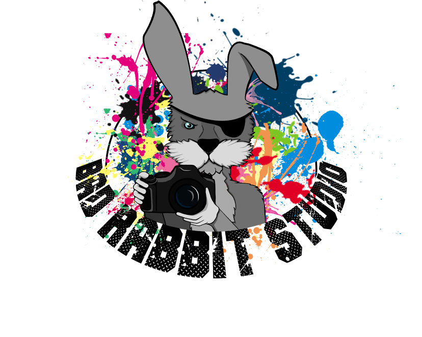 Bad Rabbit Studio profile banner