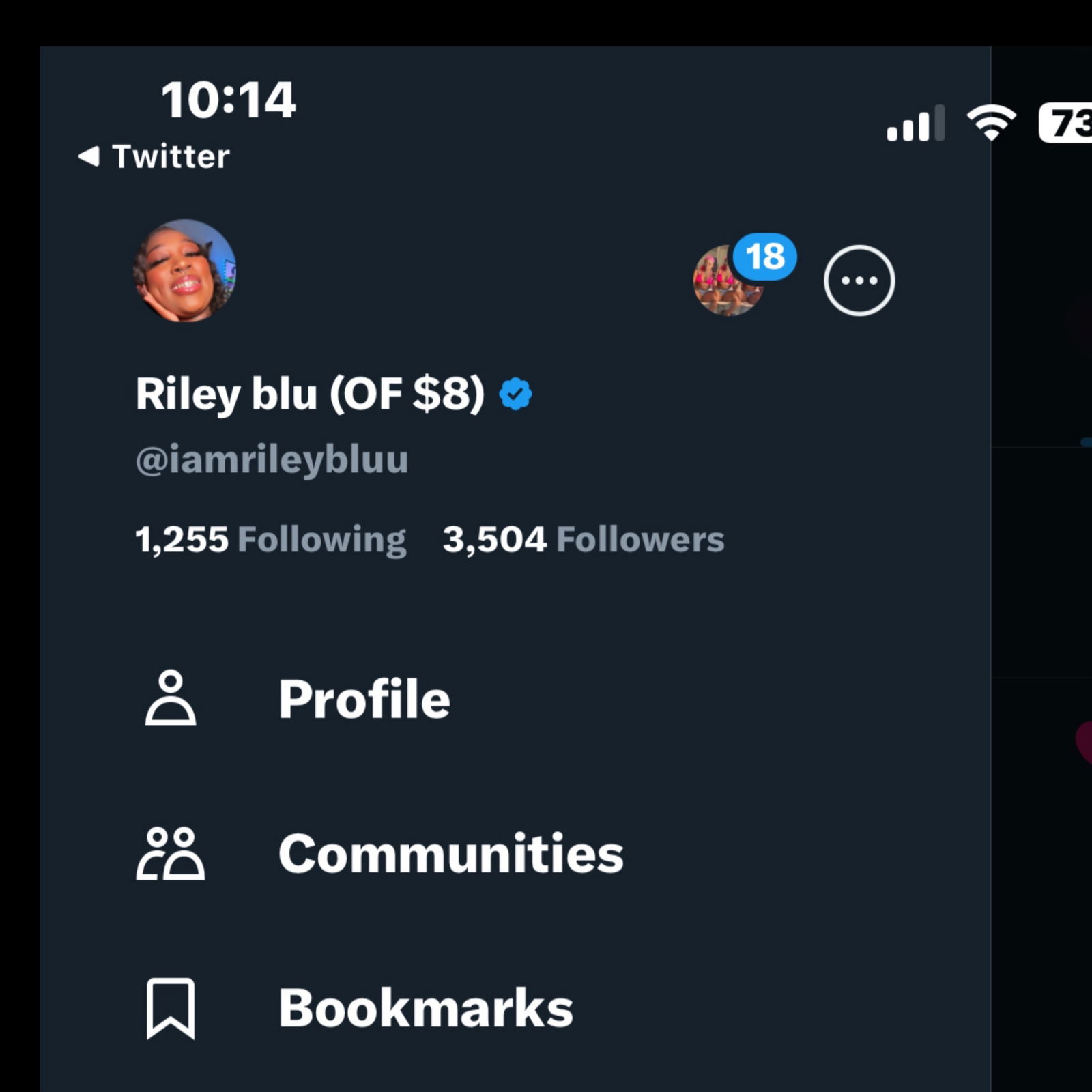 Riley bluu profile banner