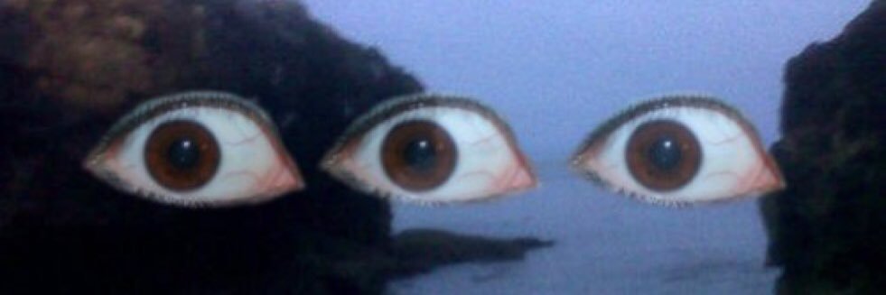 baileyjaytweets banner