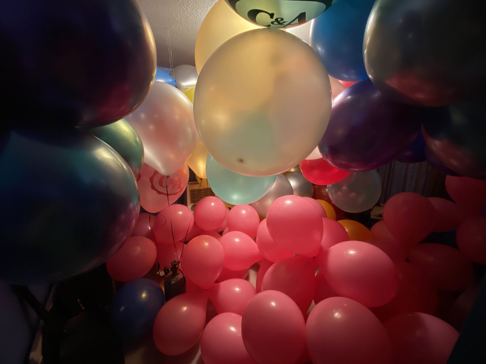 BalloonBear profile banner
