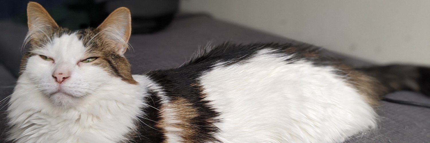 Balrog profile banner