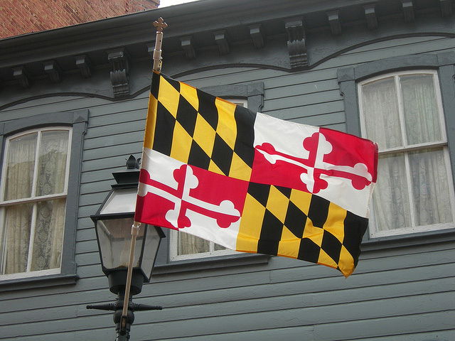 Baltimore Dadbod profile banner