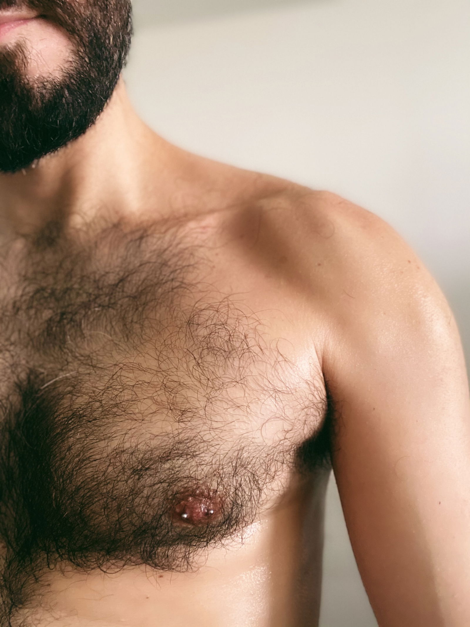 barbudopeludosp profile banner