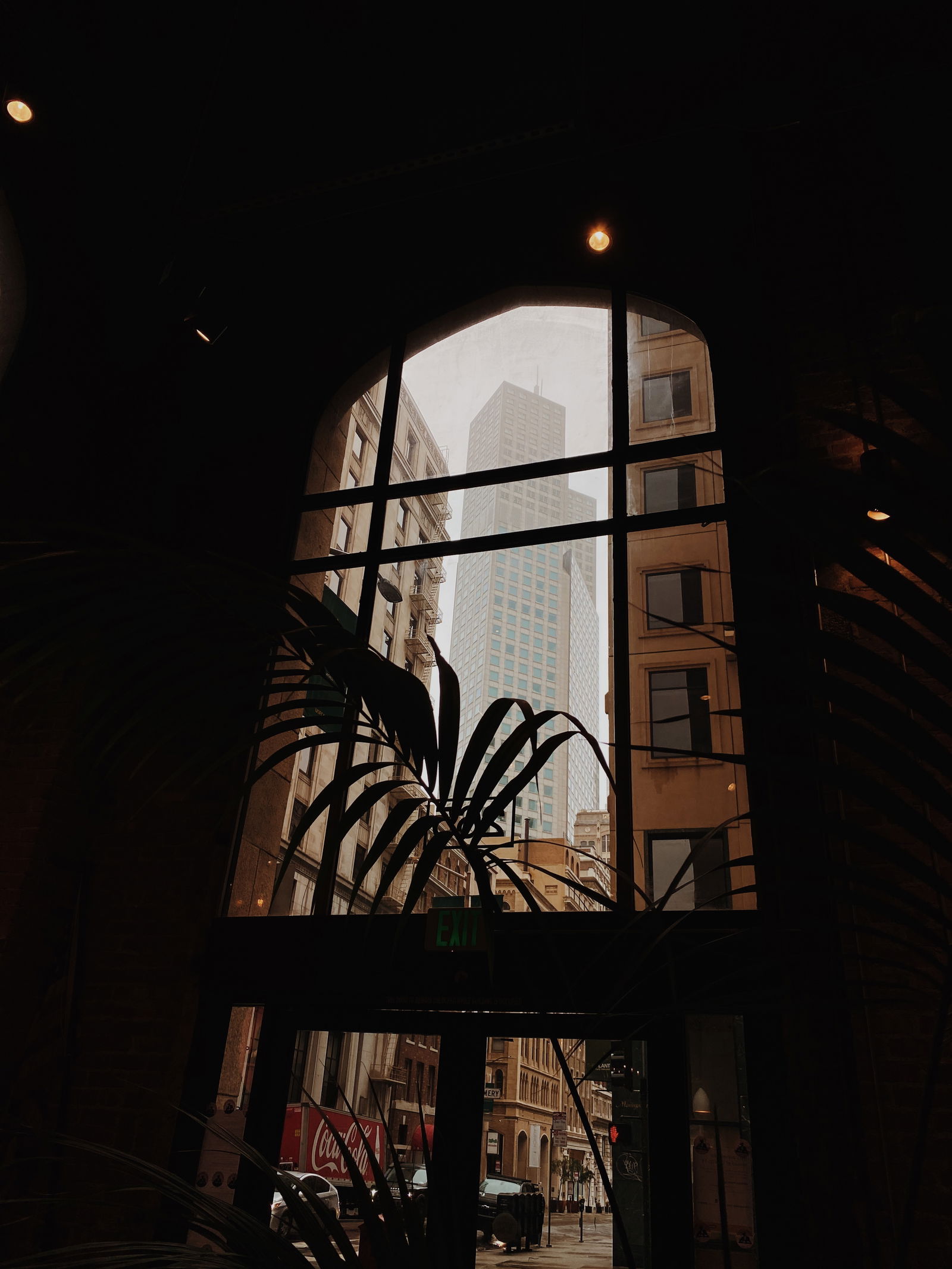 Tlee profile banner