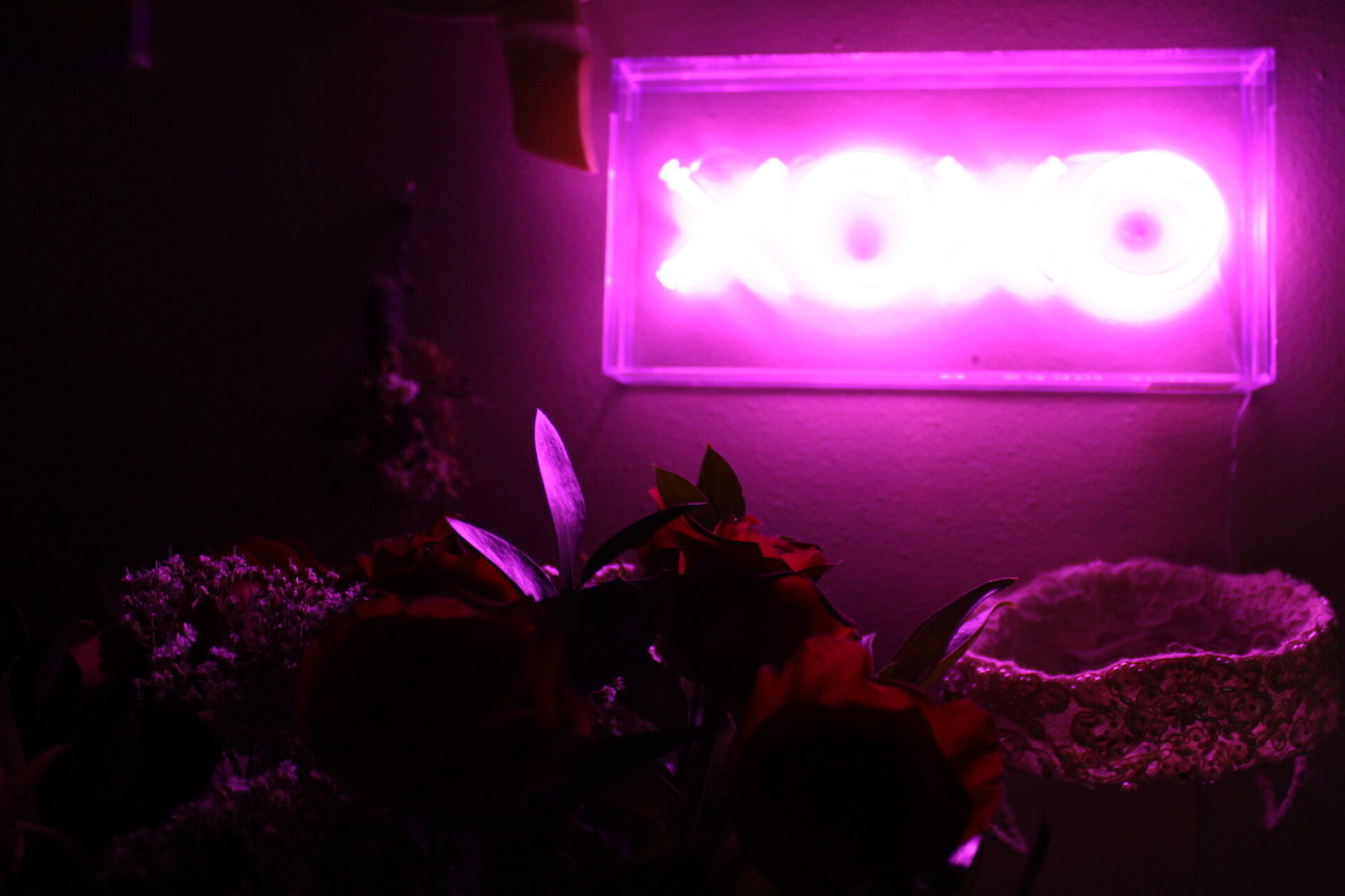 u192133413 profile banner