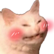 himbo puppo profile banner