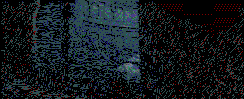Bats profile banner