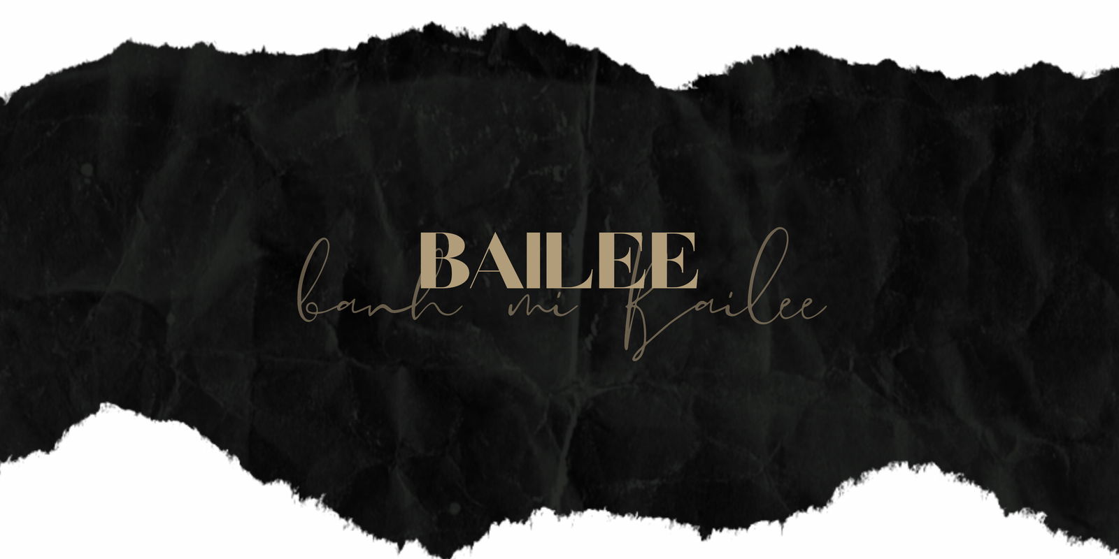 bbbailee banner