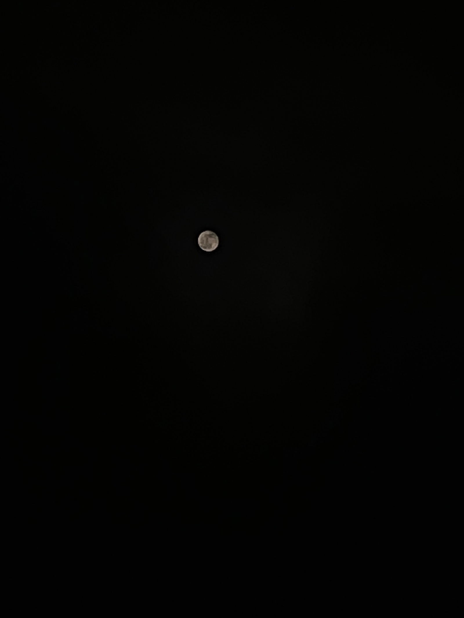 Siren profile banner