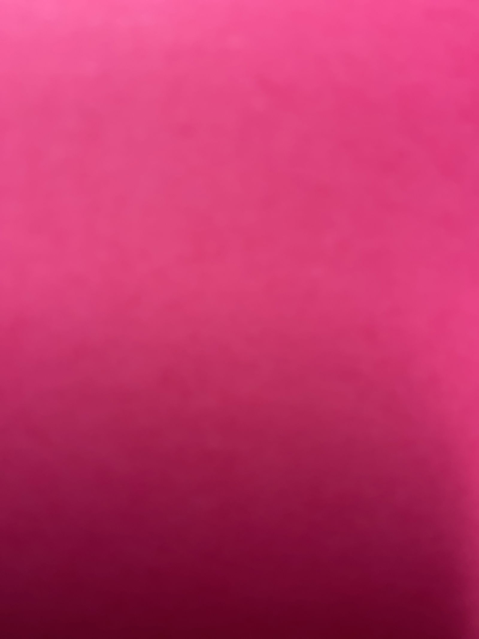 Ladybug profile banner