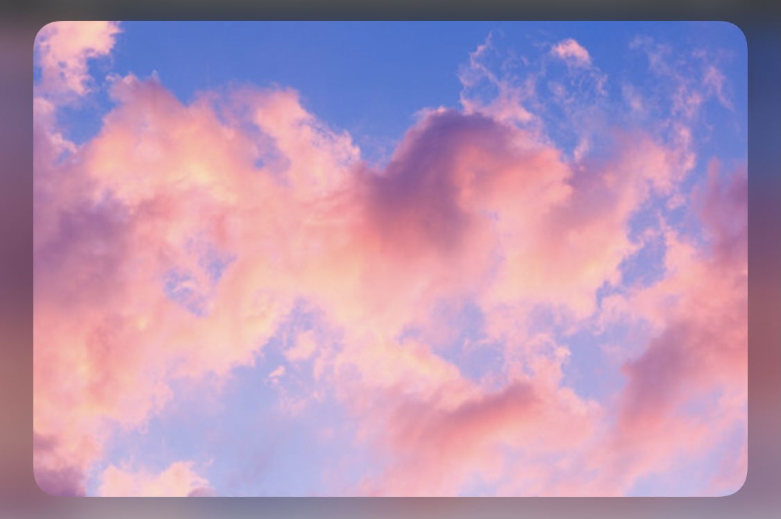 K 🌸 profile banner
