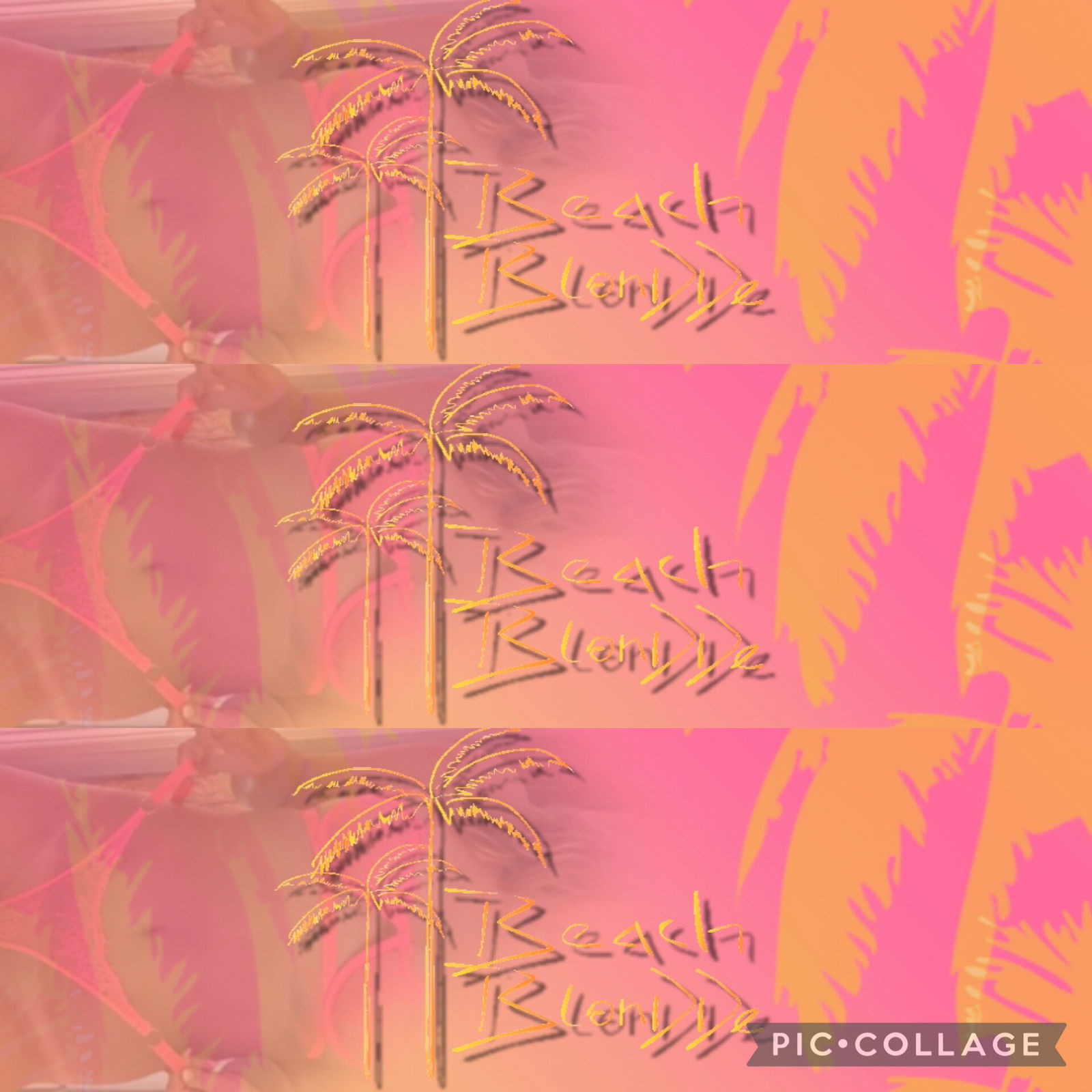 beachblondde banner