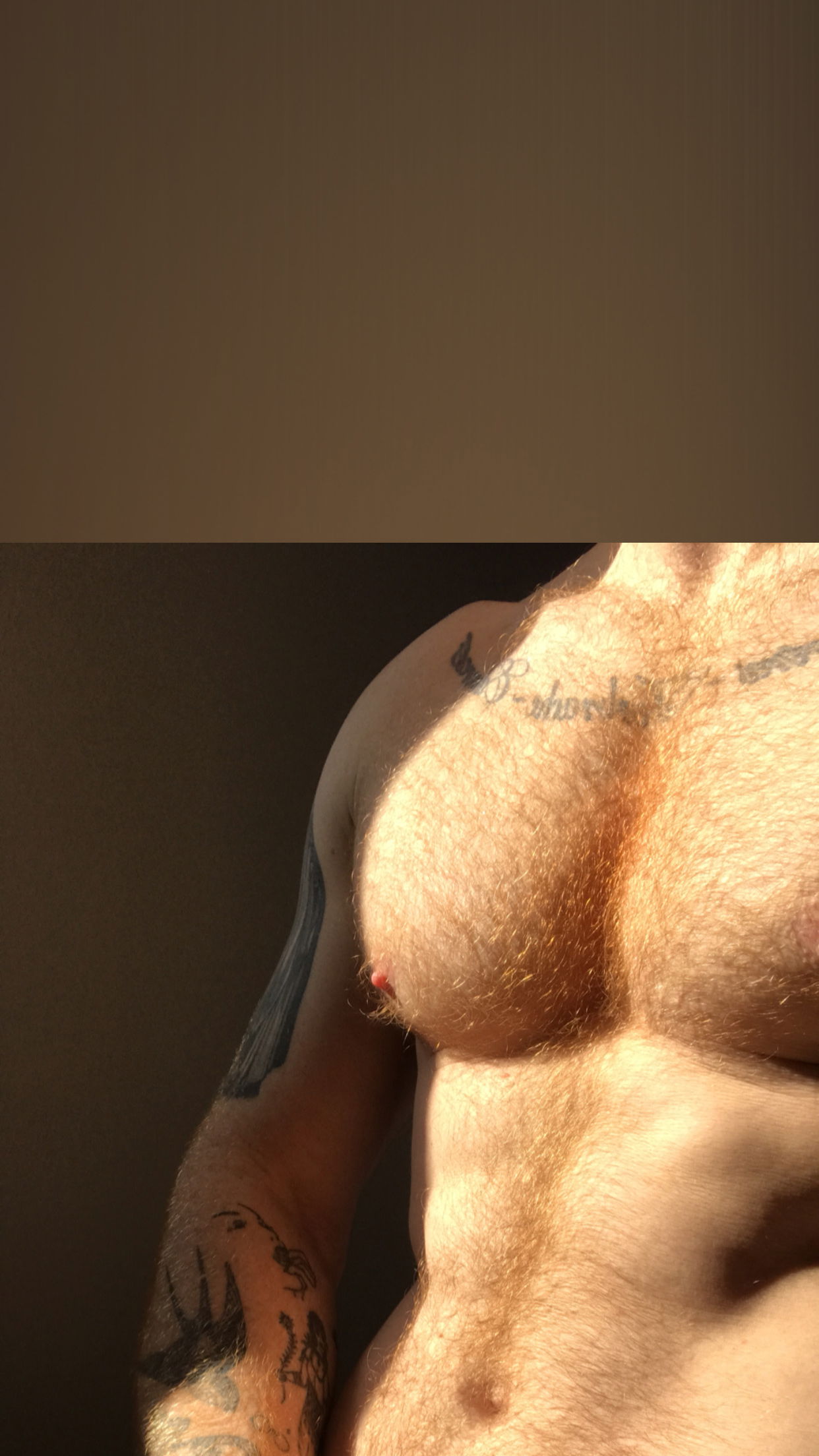 Beachboy_ profile banner