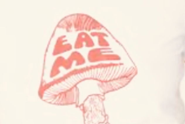 Beanie profile banner