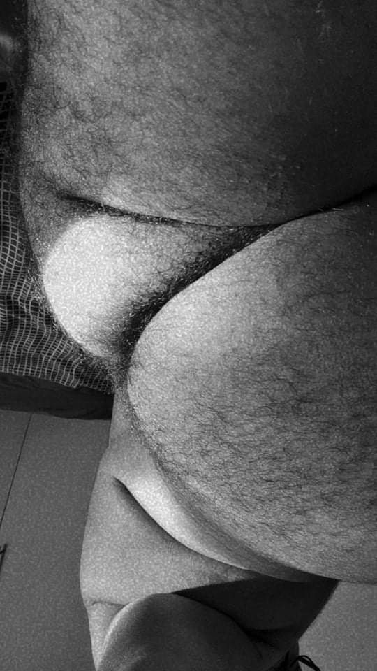 Bear05 profile banner