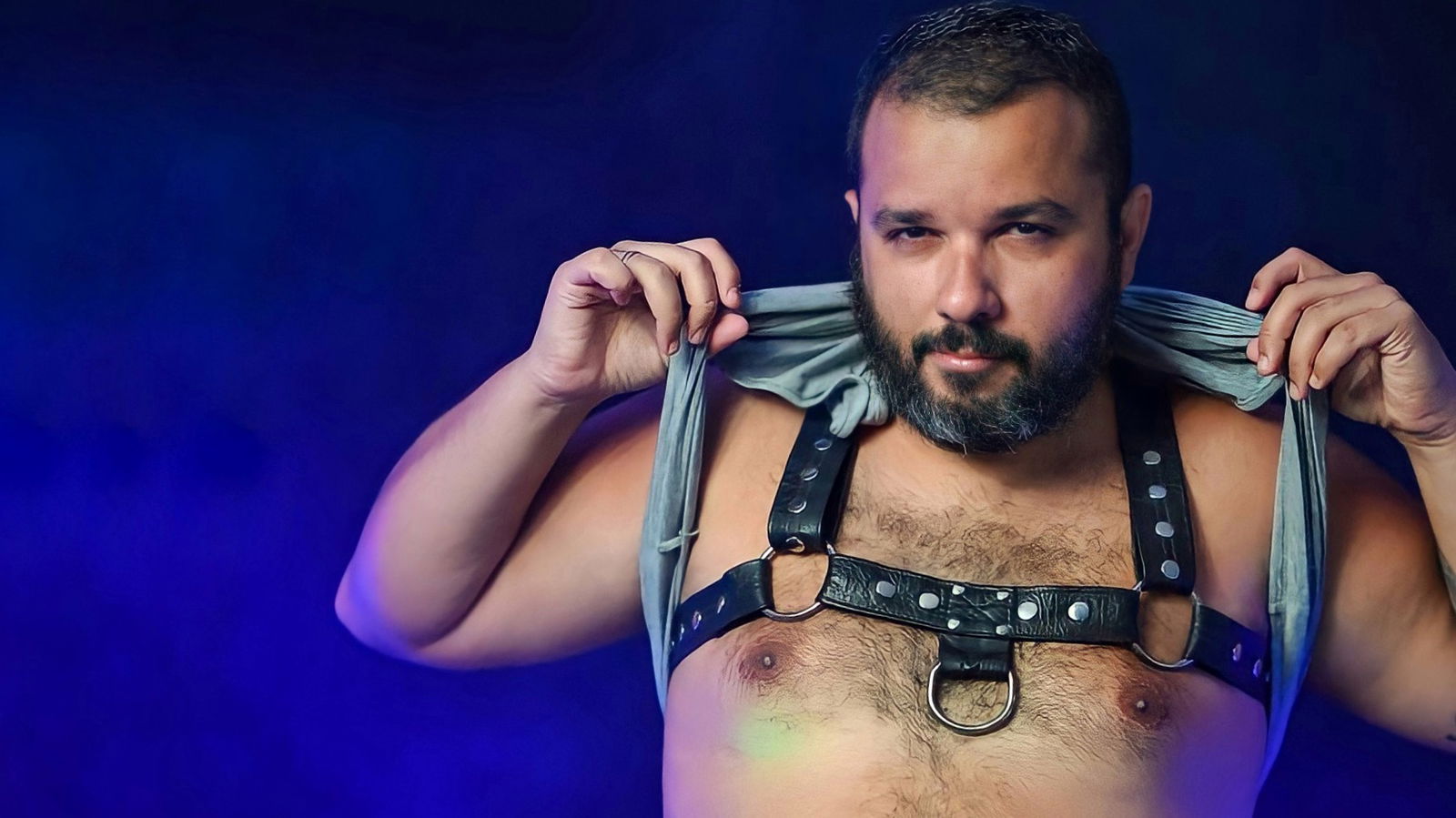 bearbrazilspain banner
