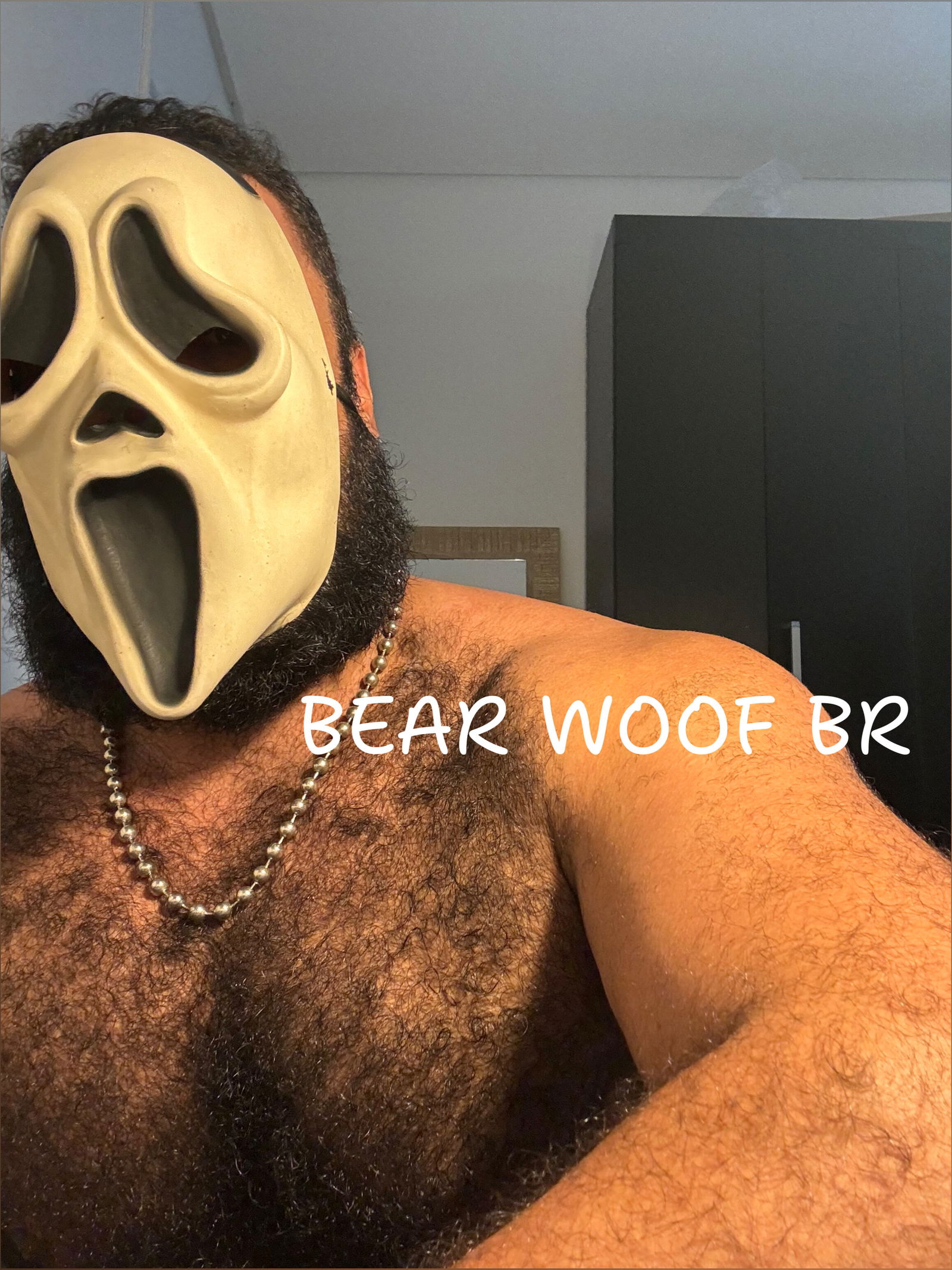 BearWoofBr profile banner