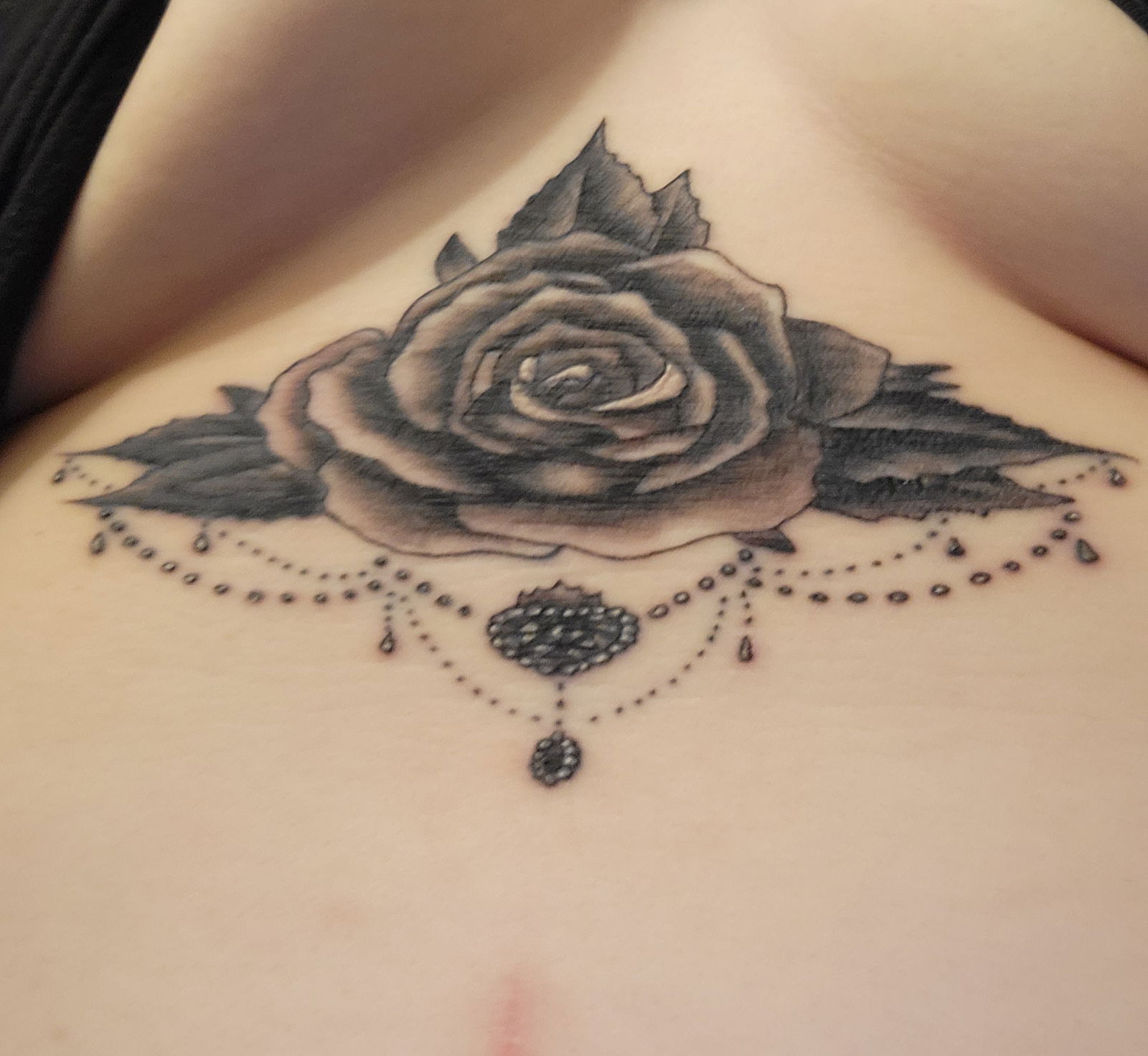 Belle profile banner