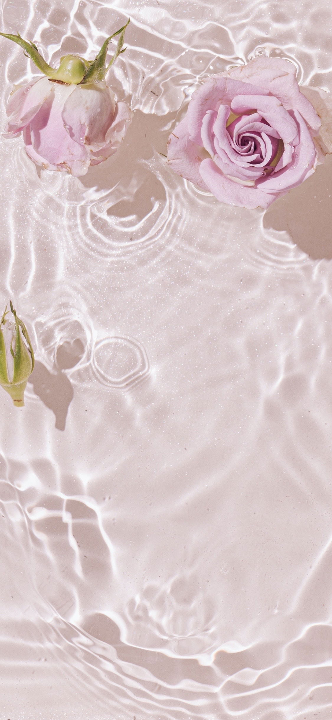 beebo💚✨ profile banner