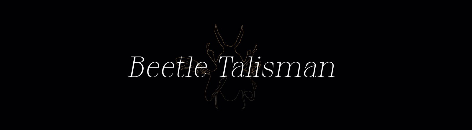 Beetle Talisman 🪲 profile banner