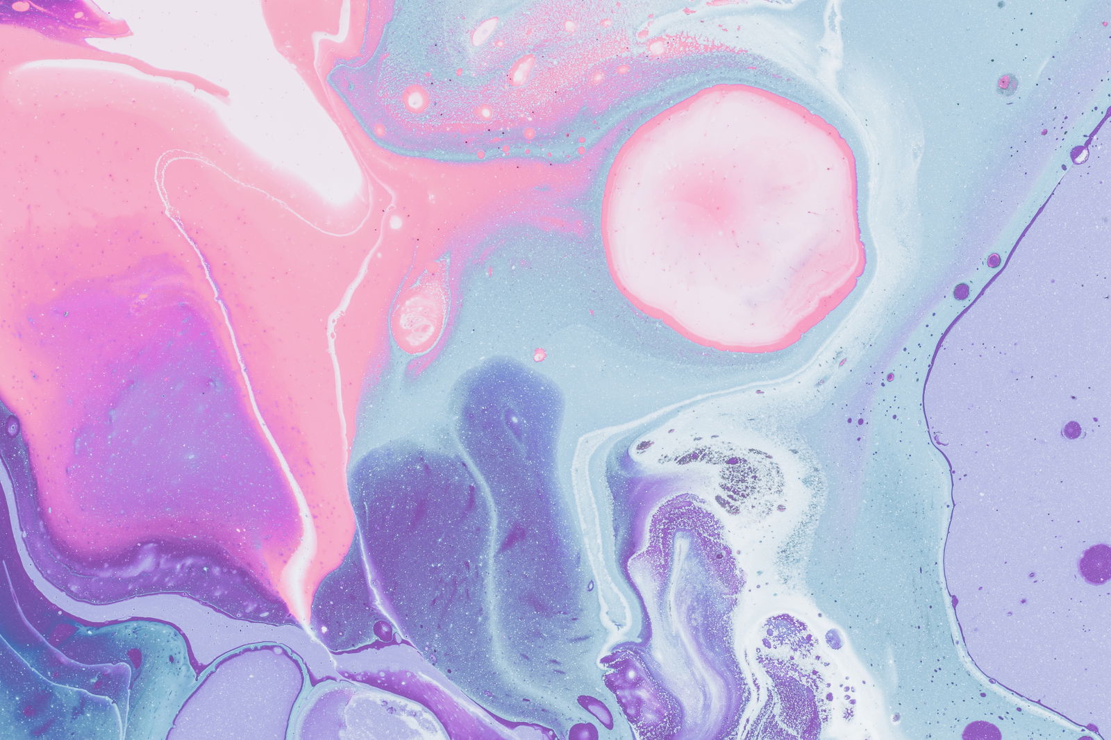π Bekkary (Florilax) profile banner