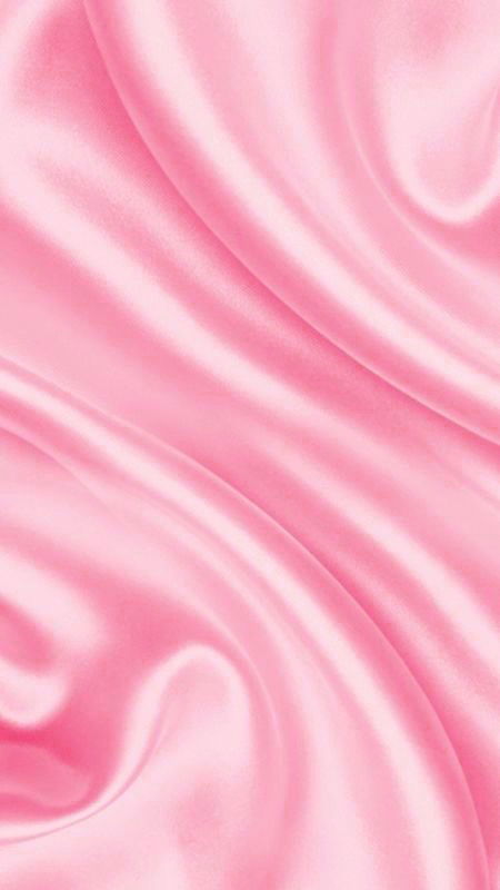 Bella_bunny profile banner