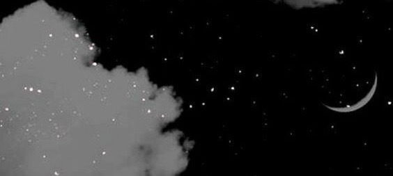 Bella Moon profile banner