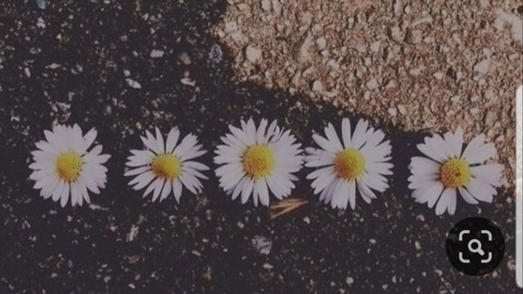 BendOverBecky π₯ profile banner