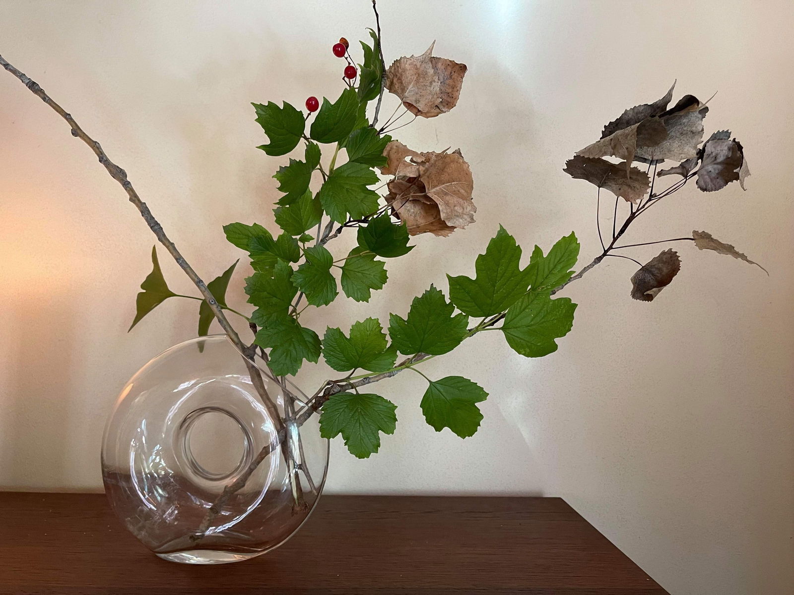 benjami72128042 banner