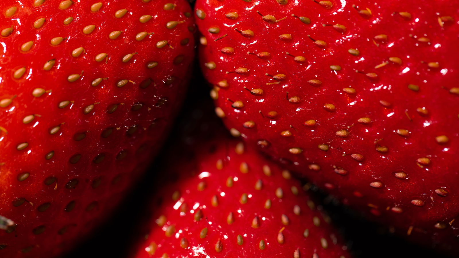 Berryxxx profile banner