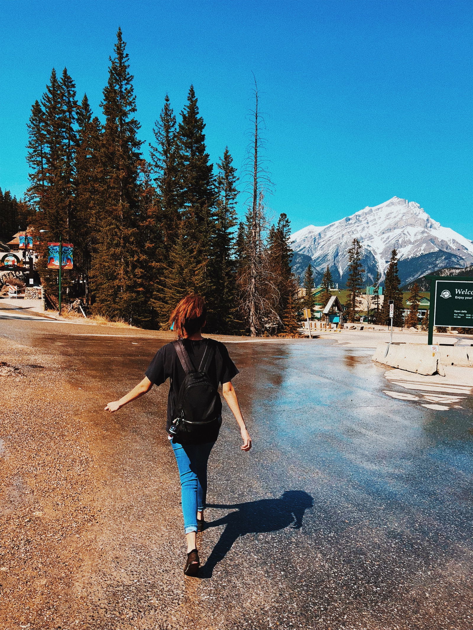 Berta profile banner