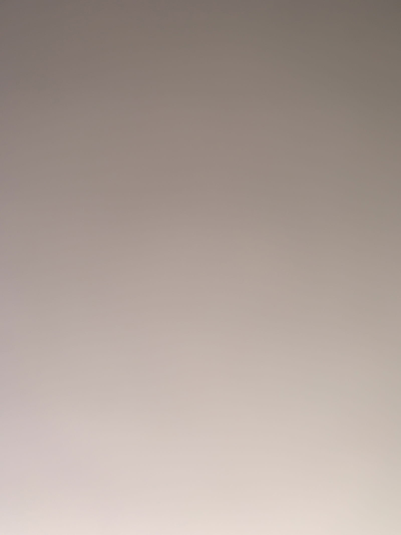 bettyzofff profile banner
