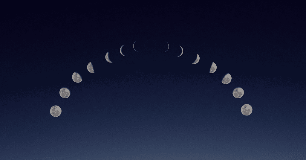 Callie profile banner