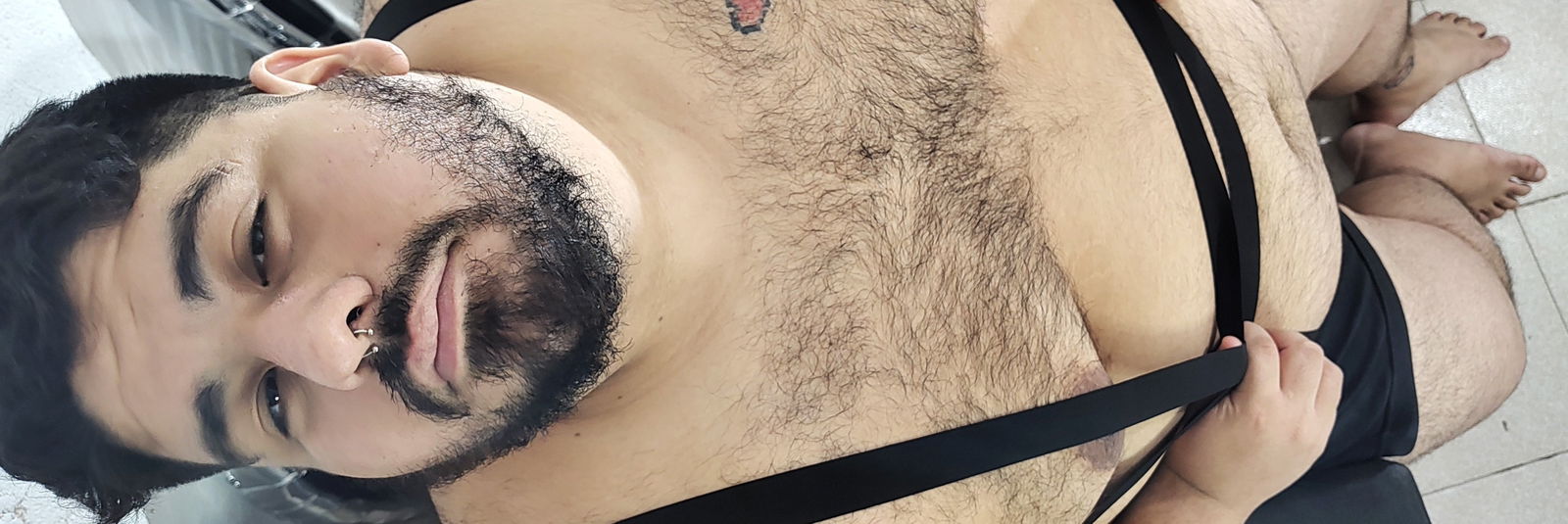 Big Bear Pato profile banner